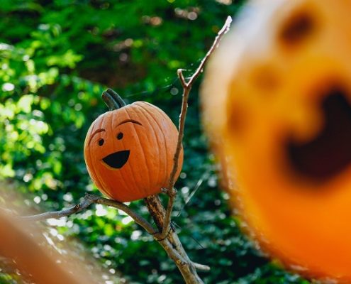 Herbst ist Kürbiszeit