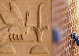 Biene als altägyptische Hieroglyphe