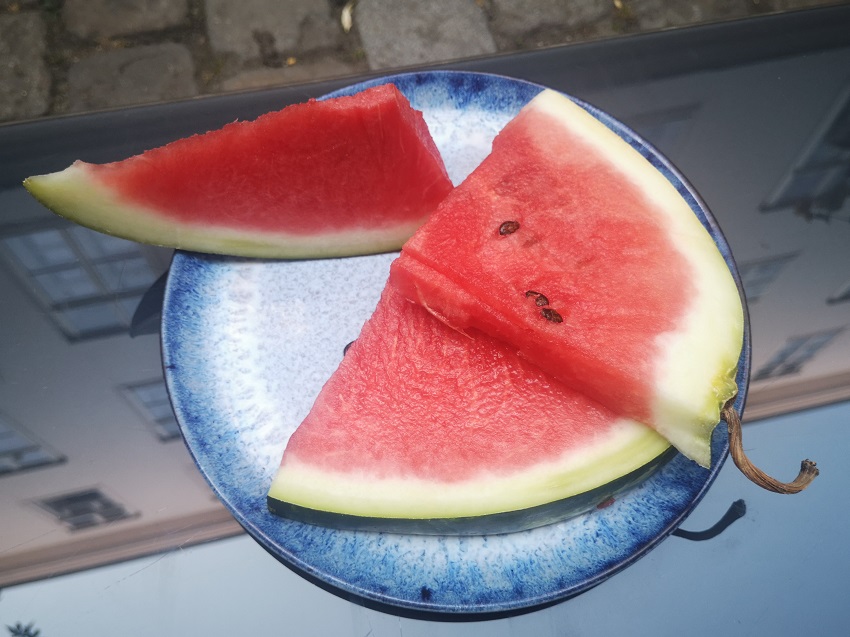 Sommermelone Wassermelone